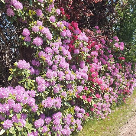Ferienwohnung Gartenblick Westerstede Zewnętrze zdjęcie