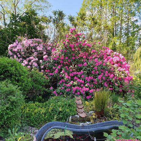 Ferienwohnung Gartenblick Westerstede Zewnętrze zdjęcie