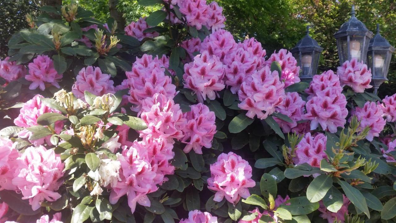 Ferienwohnung Gartenblick Westerstede Zewnętrze zdjęcie
