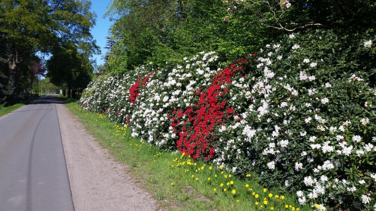 Ferienwohnung Gartenblick Westerstede Zewnętrze zdjęcie