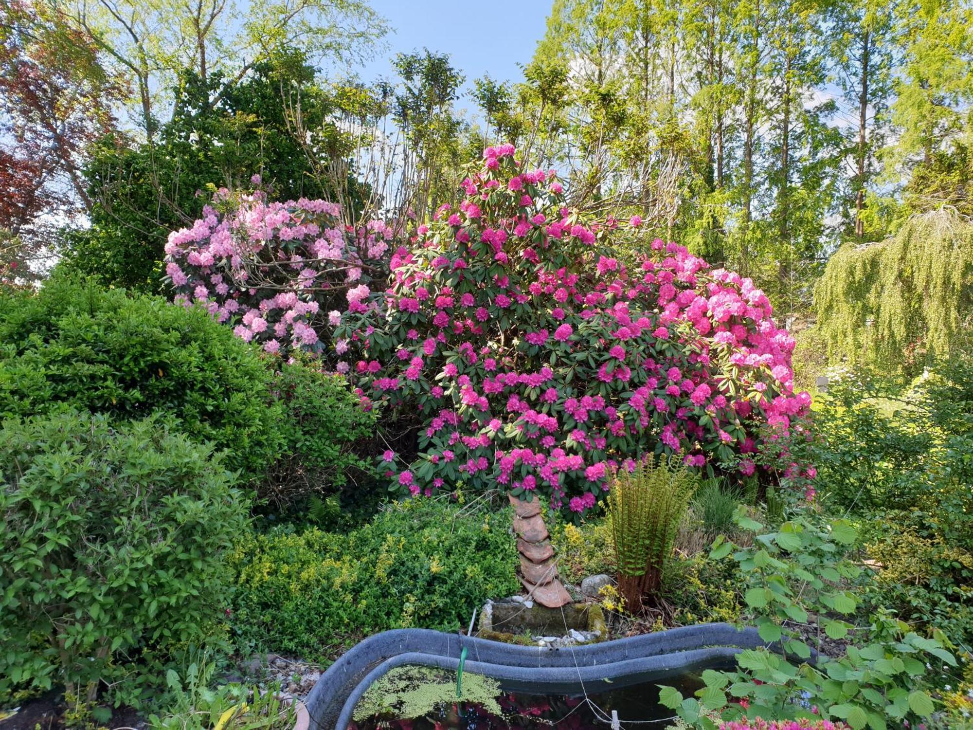 Ferienwohnung Gartenblick Westerstede Zewnętrze zdjęcie