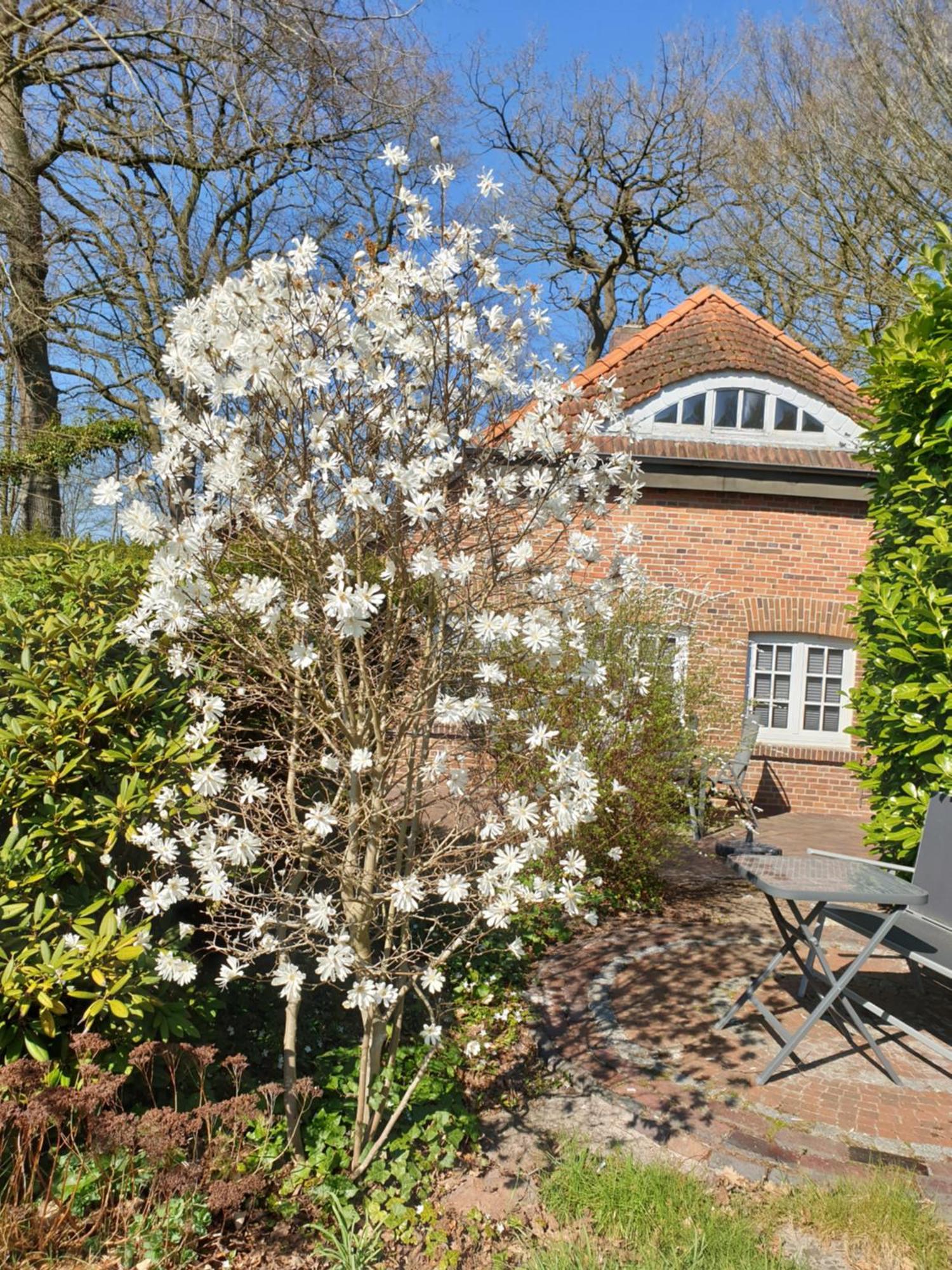 Ferienwohnung Gartenblick Westerstede Zewnętrze zdjęcie