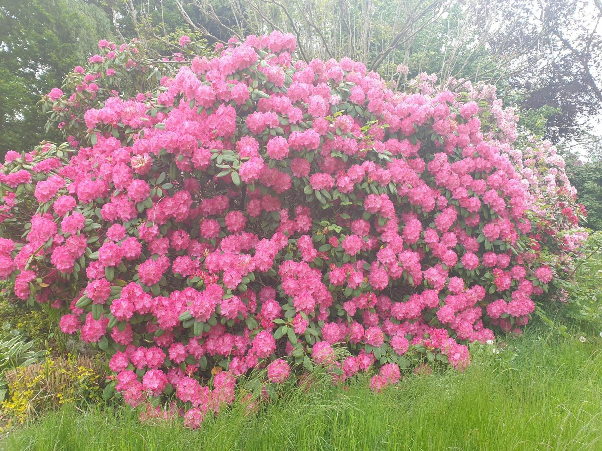 Ferienwohnung Gartenblick Westerstede Zewnętrze zdjęcie