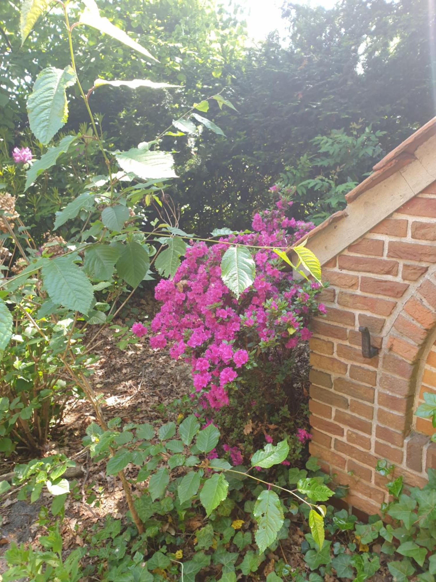 Ferienwohnung Gartenblick Westerstede Zewnętrze zdjęcie